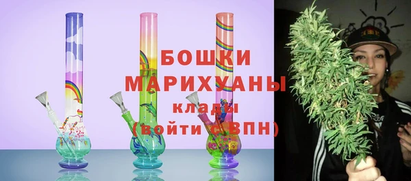 стаф Аркадак