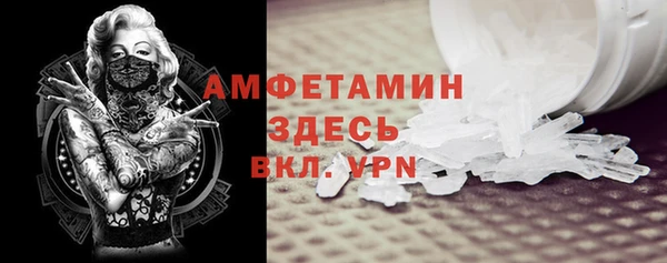 стаф Аркадак