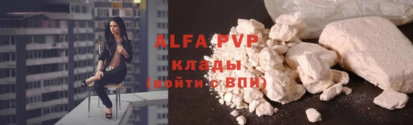 кокс Арсеньев
