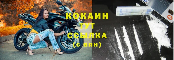 стаф Аркадак