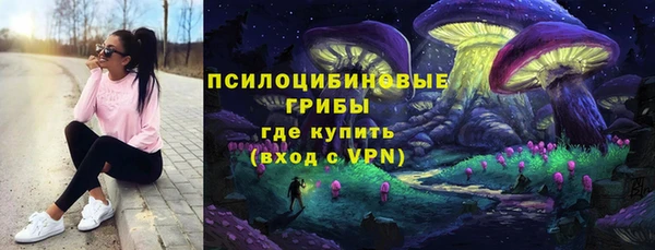 кокс Арсеньев