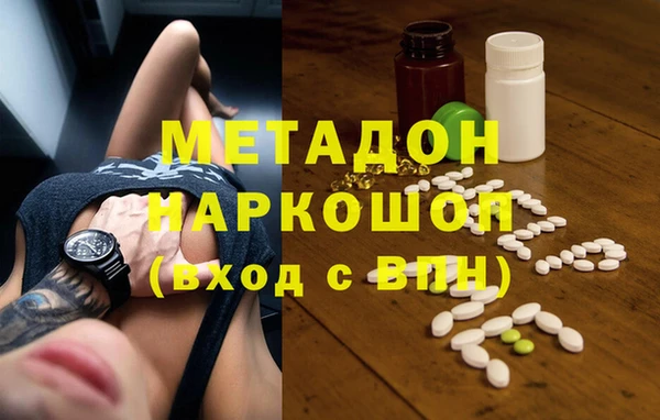стаф Аркадак