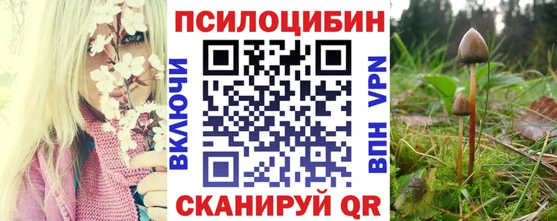 hydra вход  Каневская  Галлюциногенные грибы Psilocybine cubensis  где купить  